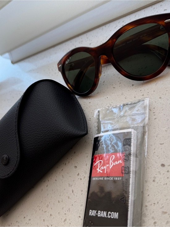 Ray-Ban Wayfarer Way Polarized Sunglasses main image 4